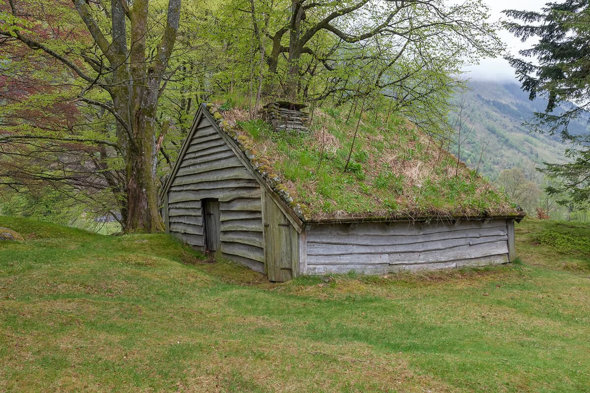 Natural Materials in Viking Architecture 8.2.2025