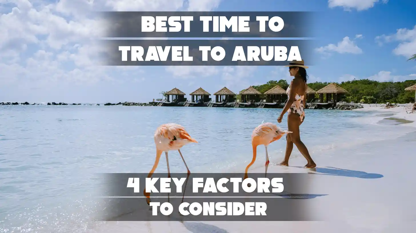 A sunny beach in Aruba with clear blue water, palm trees, and a bright, peaceful sky.