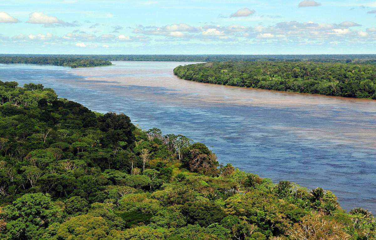 10 Ancient Forests That Are Dying Faster Than You Think 10 Ancient Forests That Are Dying Faster Than You Think