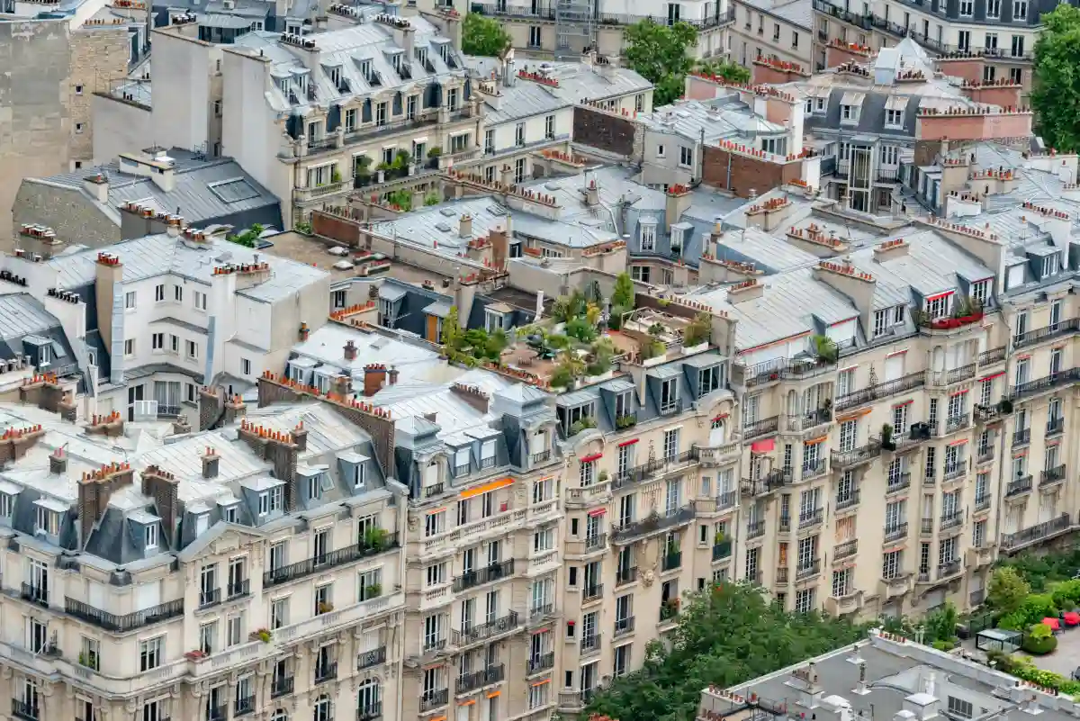 Panoramic view of Parisian rooftops, featuring traditional slate, zinc, and domed structures under a cloudy sky.
Parisian Architecture Panoramic view of Parisian rooftops, featuring traditional slate, zinc, and domed structures under a cloudy sky.
Parisian Architecture