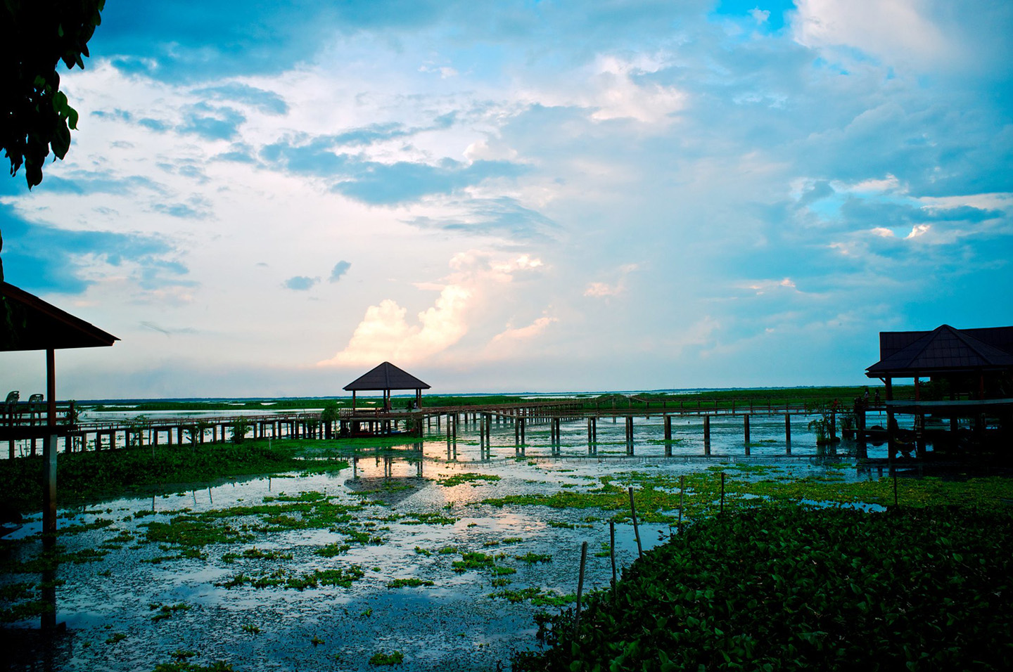 Thale Noi Thailand17.06