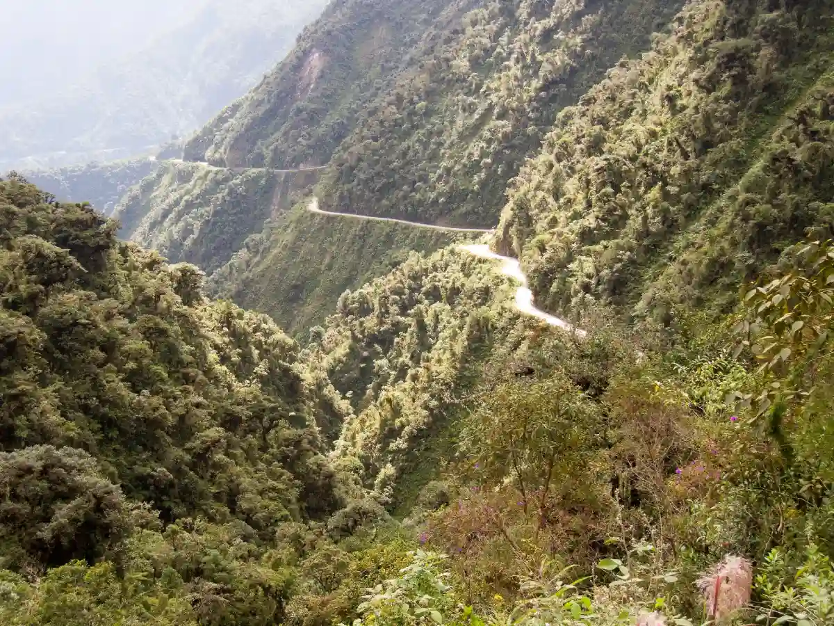 Taken in Yungas Valley, Bolivia on 22 July 2009 Taken in Yungas Valley, Bolivia on 22 July 2009