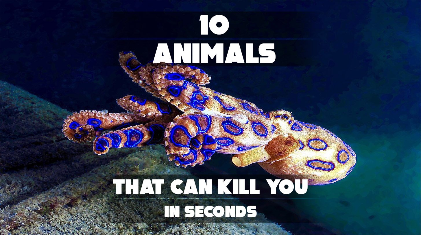 Massive land animal responsible for hundreds of deadly encounters