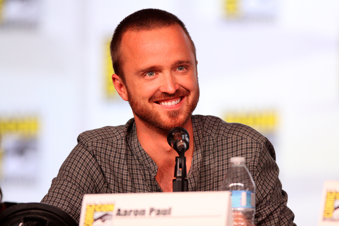 Aaron Paul16.07
