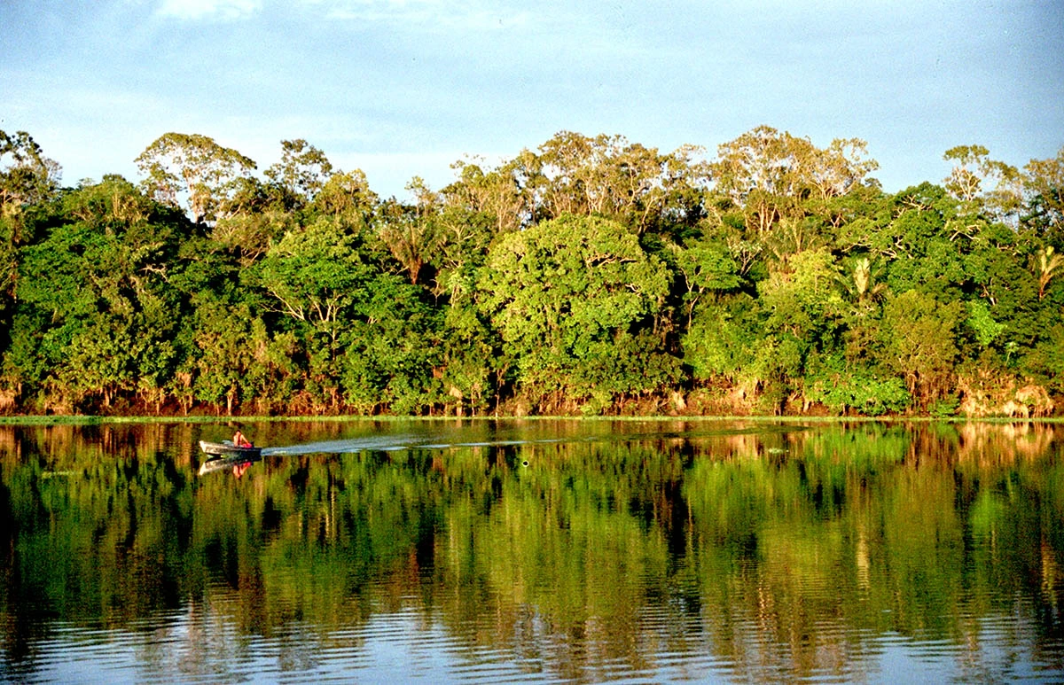 Amazonia 6.07.2025