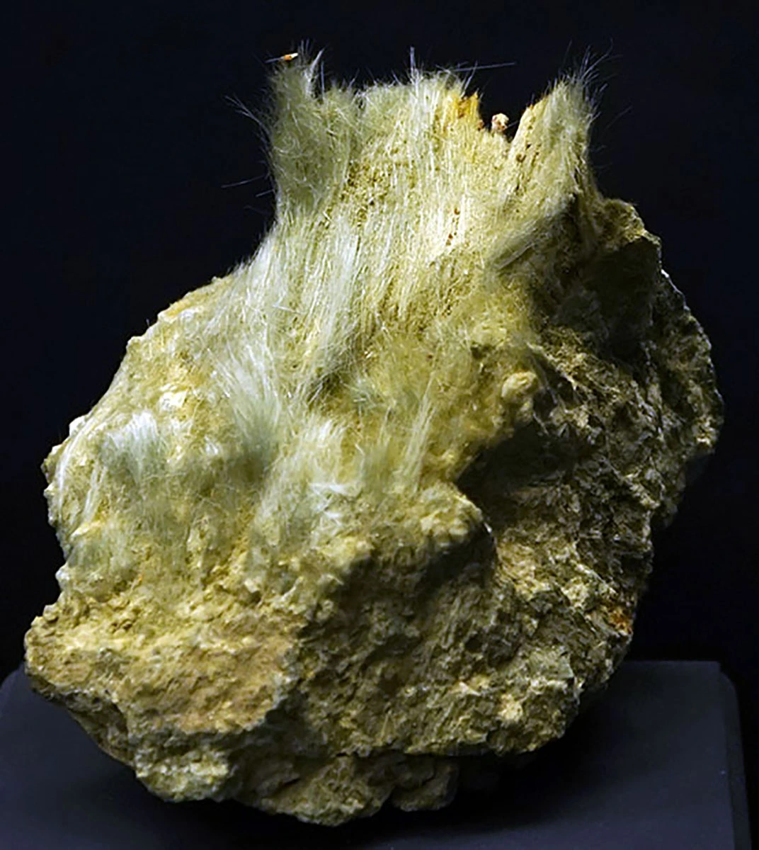 Asbestos Tremolite 31.07.2025