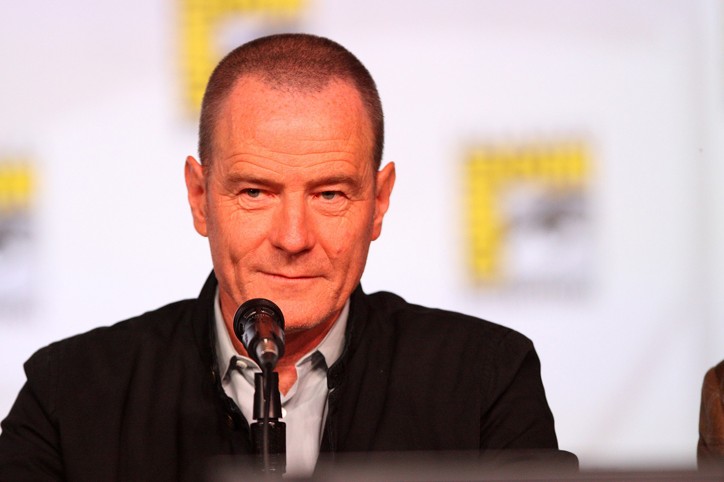 Bryan Cranston15.07