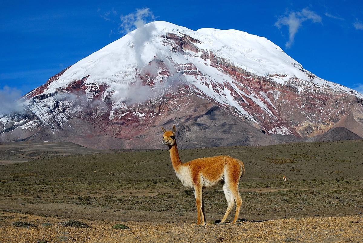 Chimborazo Volcano 20.7.2025