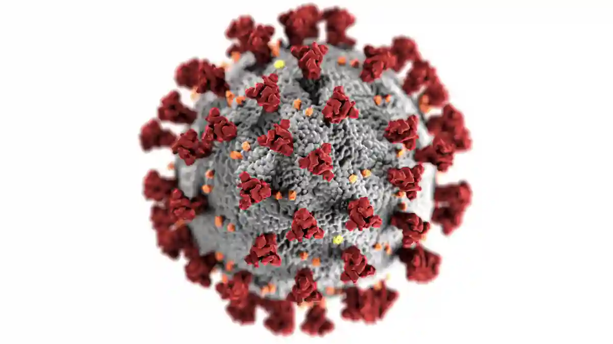 Corona Virus is one of the 10 Deadliest Viruses Humans Can Catch Corona Virus is one of the 10 Deadliest Viruses Humans Can Catch