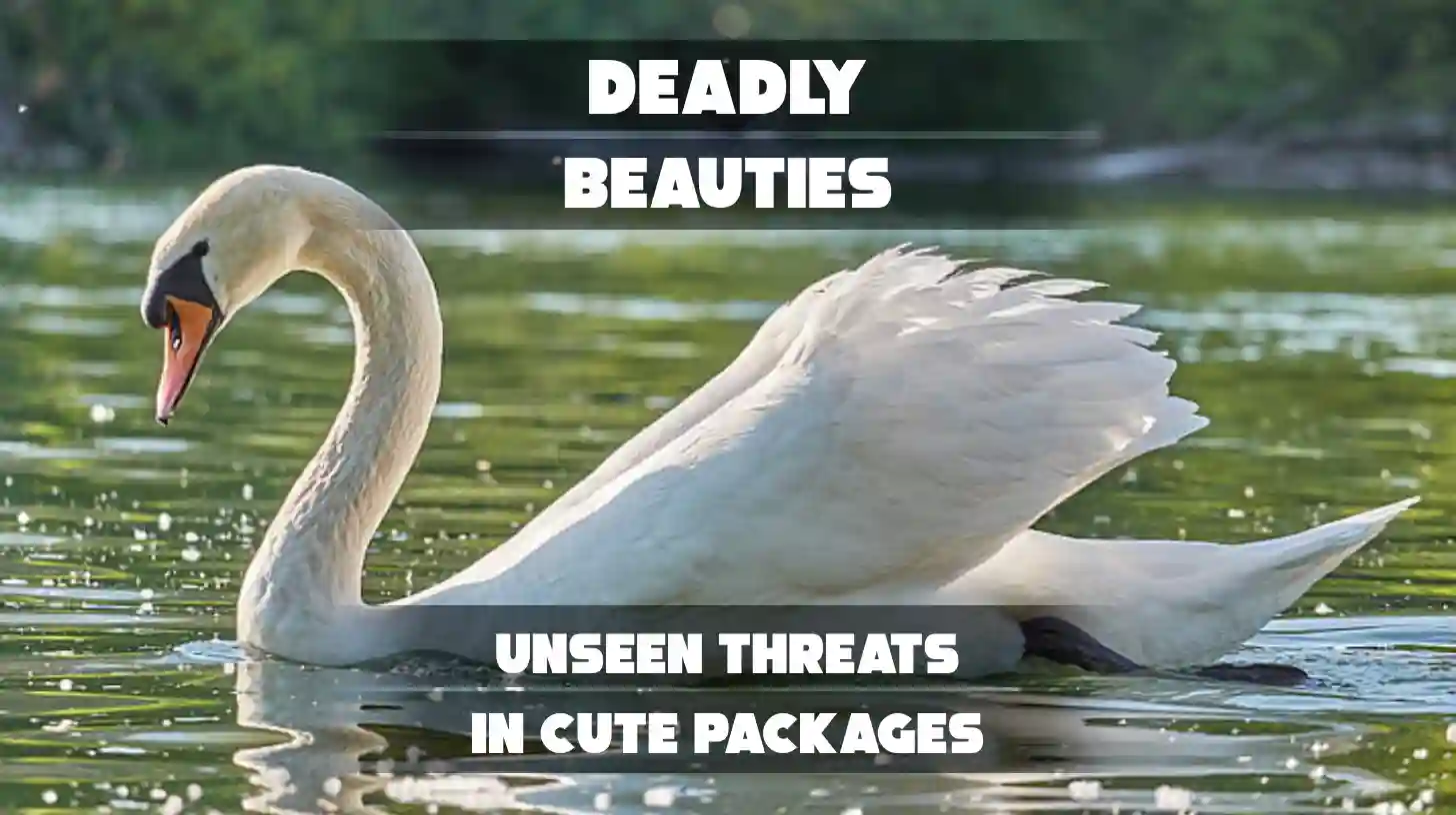 10 Most Dangerous Animals That Look Harmless