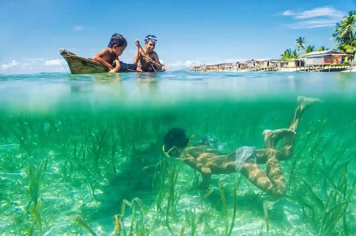 A Bajau diver plunging into the clear waters, equipped with simple gear, hunting for food in the ocean's depths. A Bajau diver plunging into the clear waters, equipped with simple gear, hunting for food in the ocean's depths.