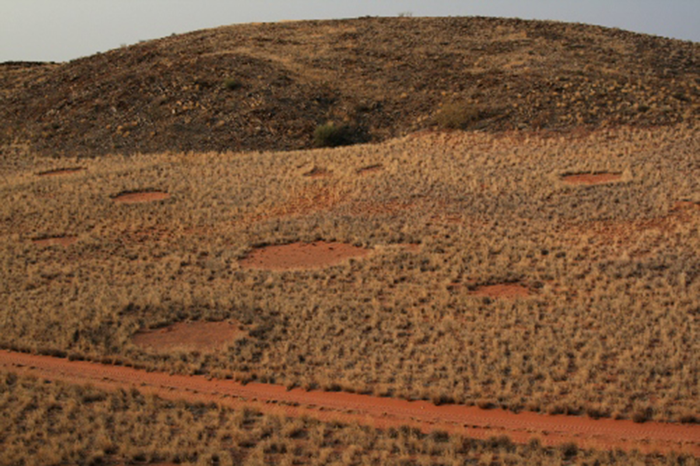 Fairy Circles as a mysterious place06.07