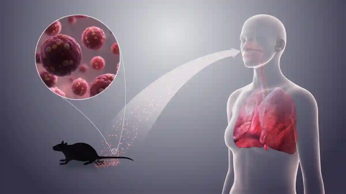 3D medical animation still showing Hantavirus. 3D medical animation still showing Hantavirus.