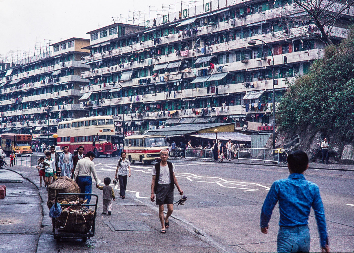 Hong Kong old healthy people17.07