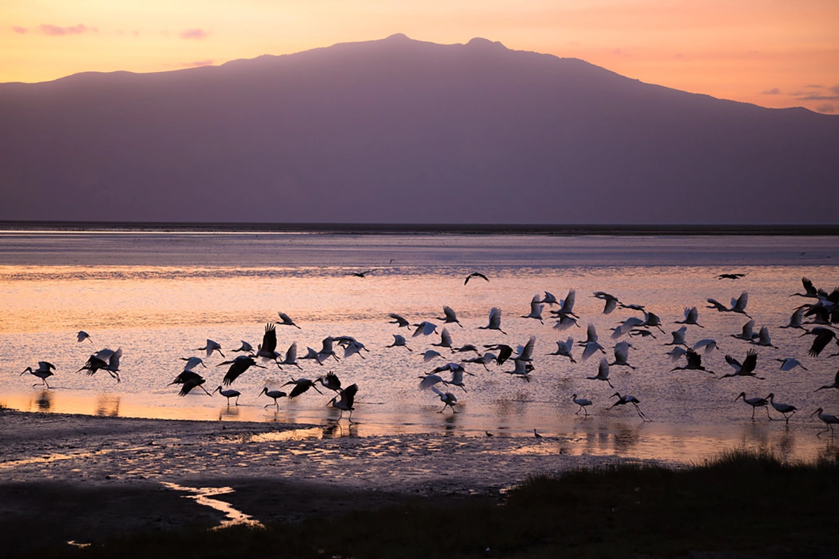 Lake Natron 29.7.2025