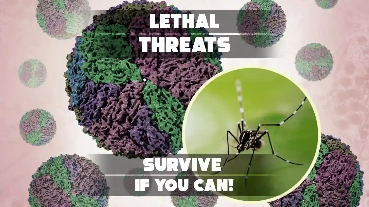 10 Deadliest Viruses Humans Can Catch