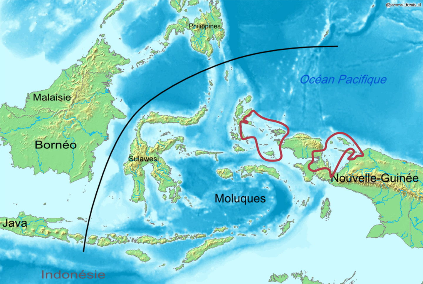 Papua New Guinea languages14.07