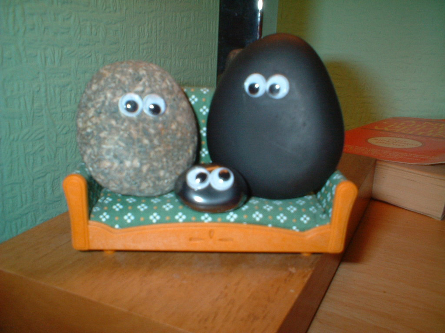 Pet Rock14.07