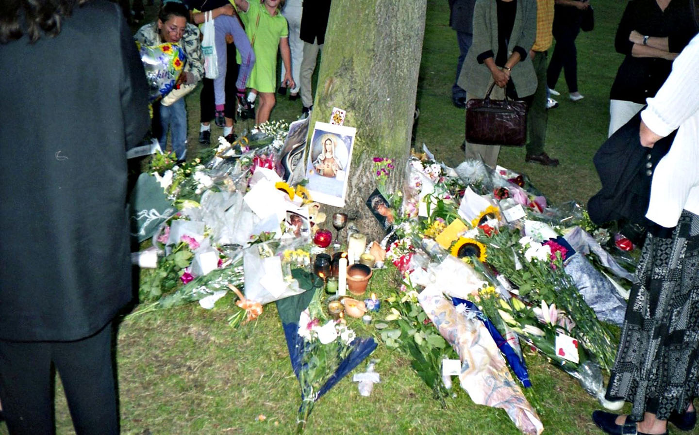 Princess Dianas Murder30.07