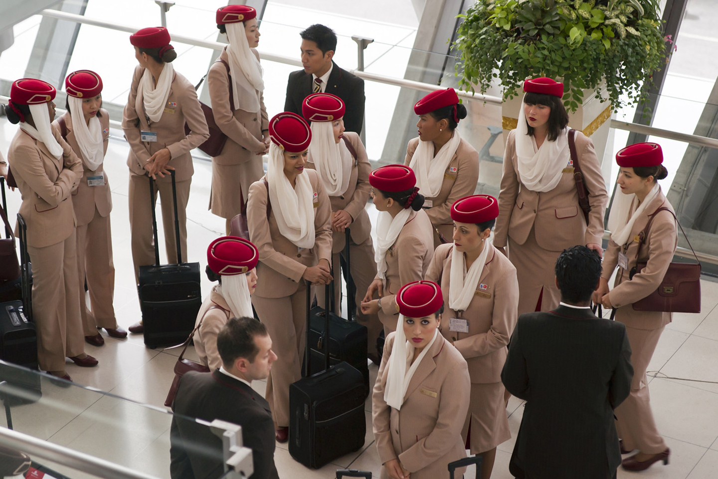 Qatar Airways beautifull hostesses05.07