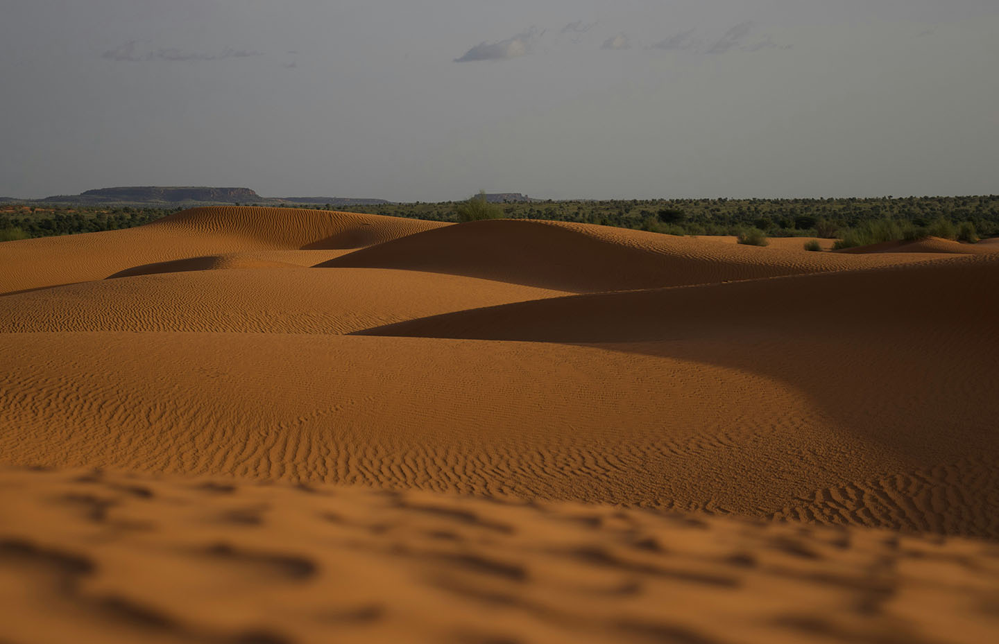 Sahel North Africa19.07