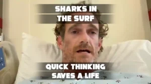 Florida Surfer Makes Miraculous Escape After Shark Bite Attack