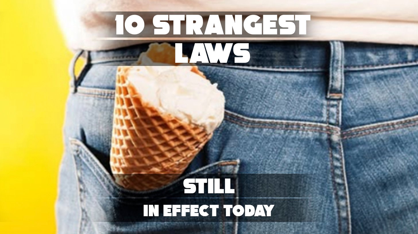 A quirky collage of bizarre law signs and confused people.