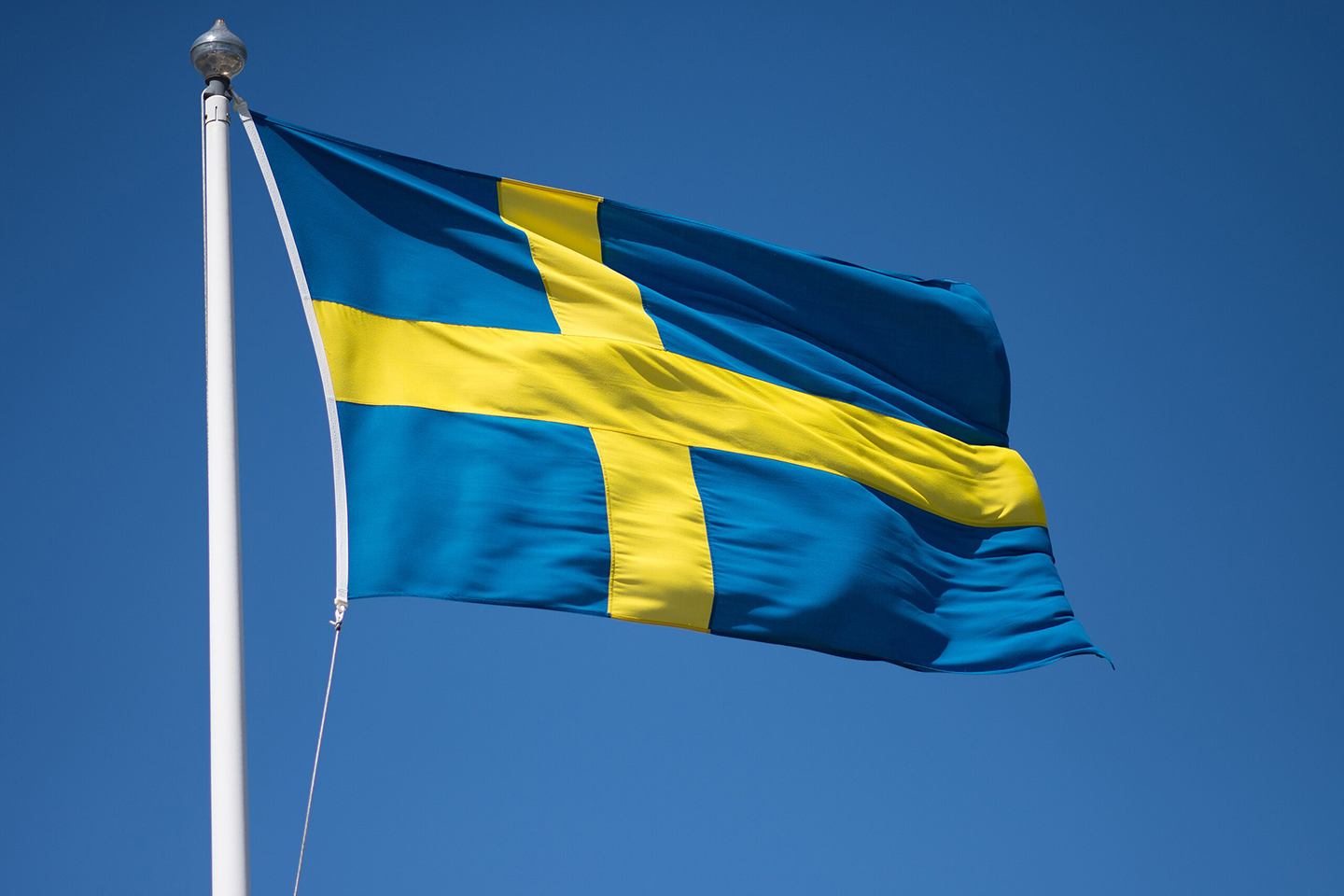 Sweden flag06.07