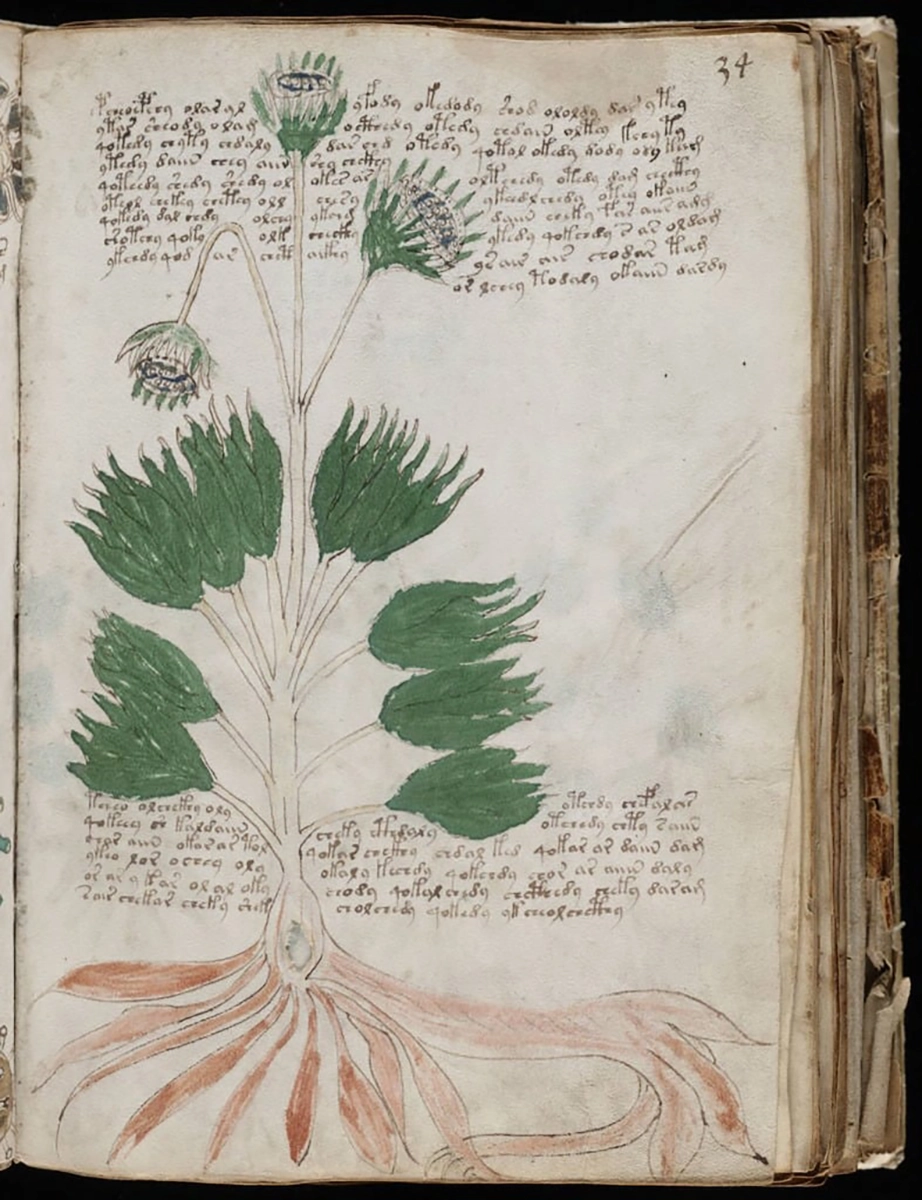 The Voynich Manuscript 22.7.2025