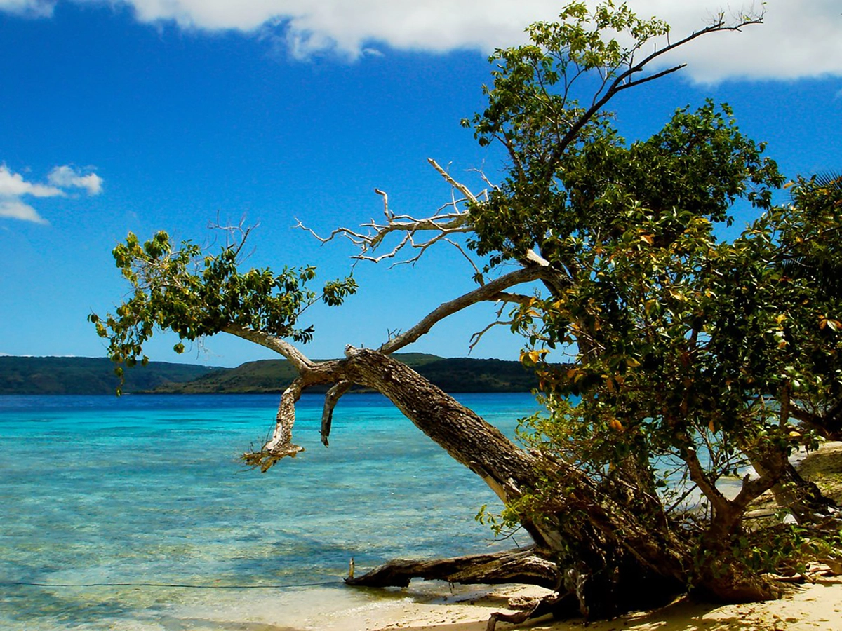 Vanuatu 1.7.2025