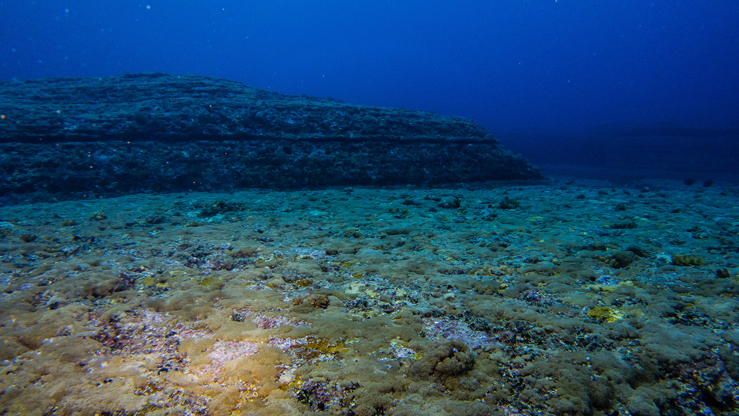 Yonaguni Monument06.07