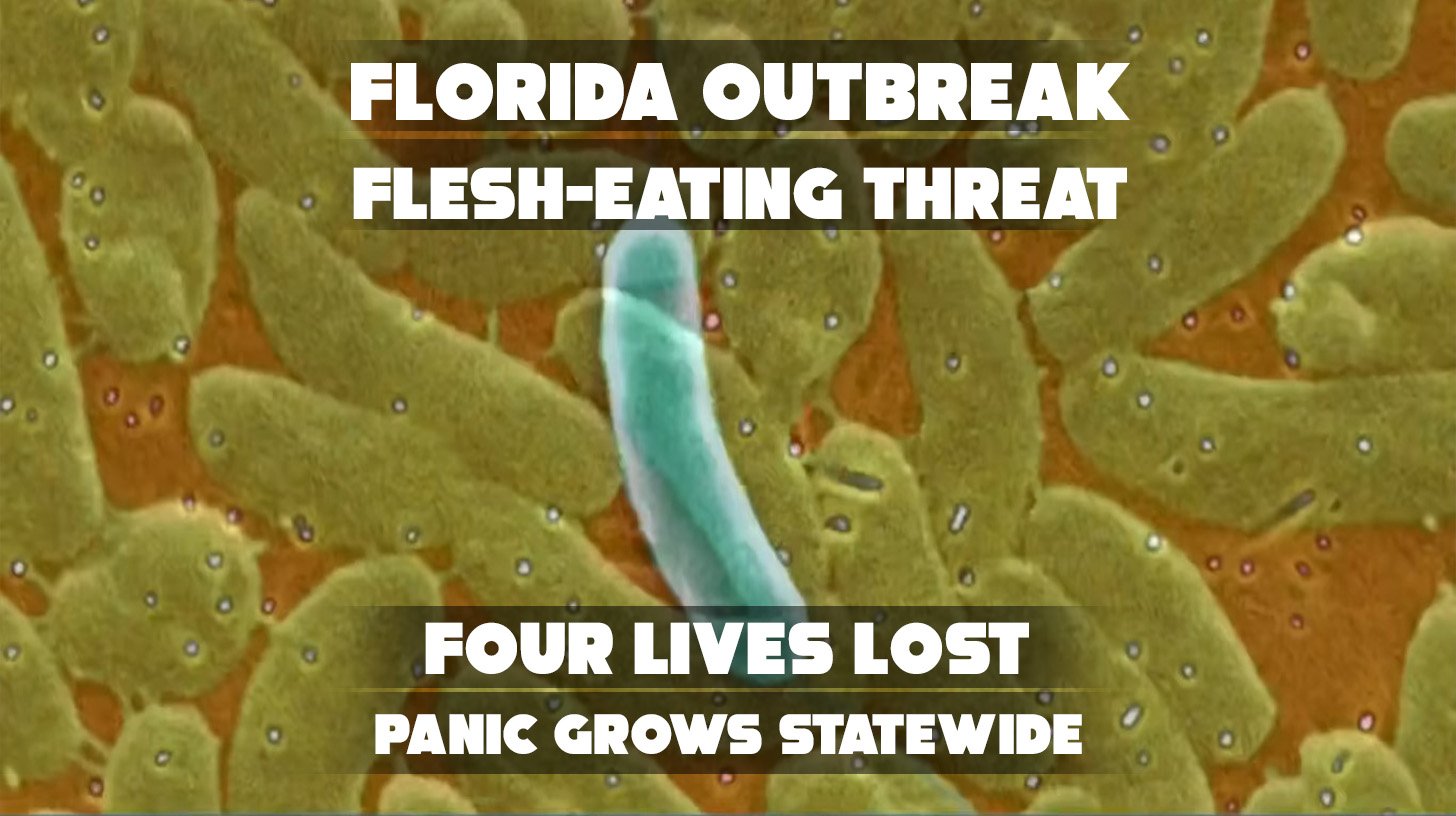 Warning sign on a dock in Florida alerting the public about dangerous waterborne bacteria threats.