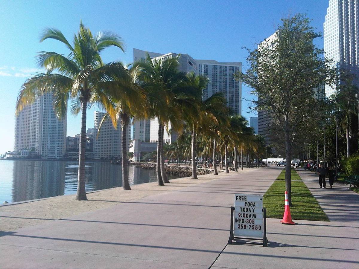 Best New Year's Destinations in the USA Best New Year's Destinations in the USA