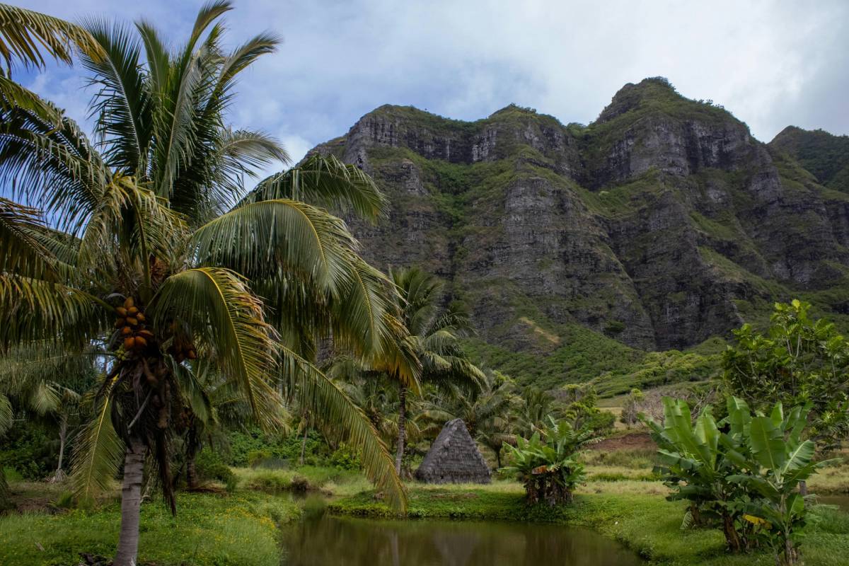 Best Things to Do in Oahu Best Things to Do in Oahu