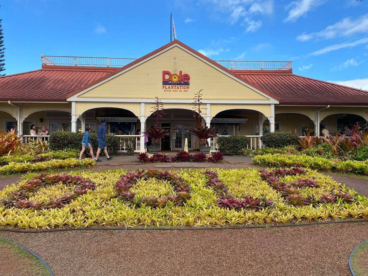 Best Things to Do in Oahu Best Things to Do in Oahu