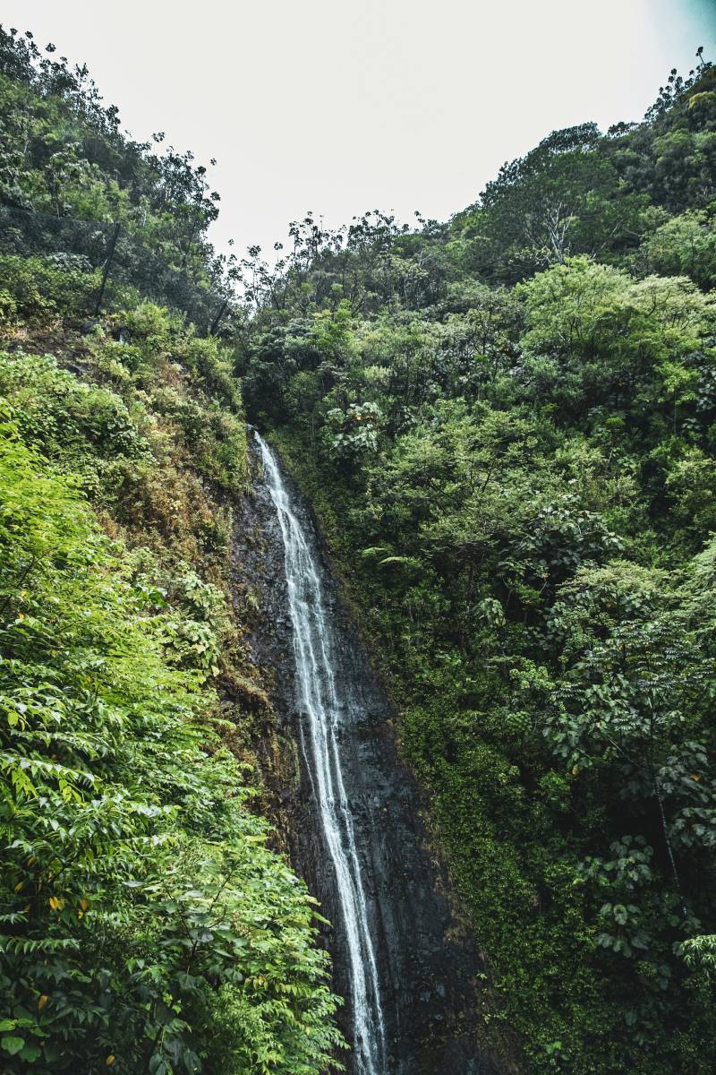 Best Things to Do in Oahu Best Things to Do in Oahu