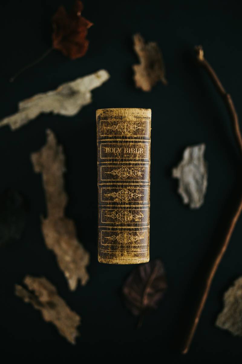 Egyptian Mythology Books Egyptian Mythology Books