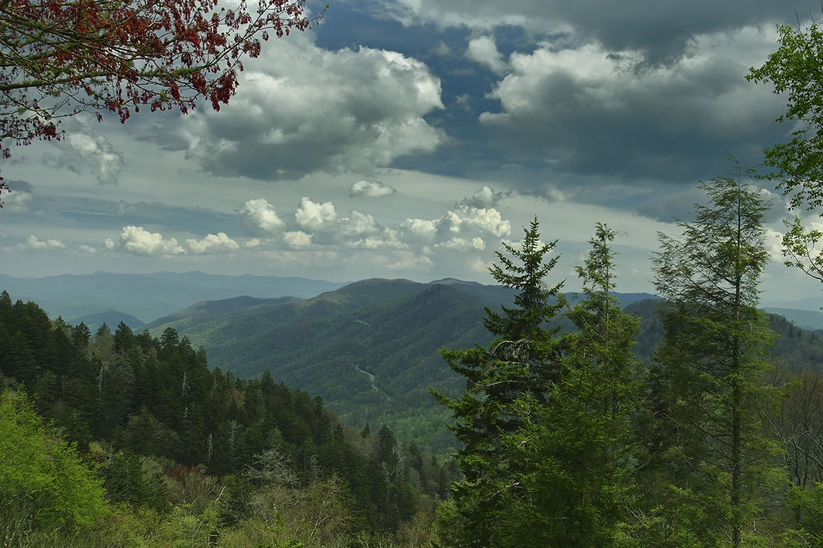Great Smoky Mountains National Park 5.8.2025
