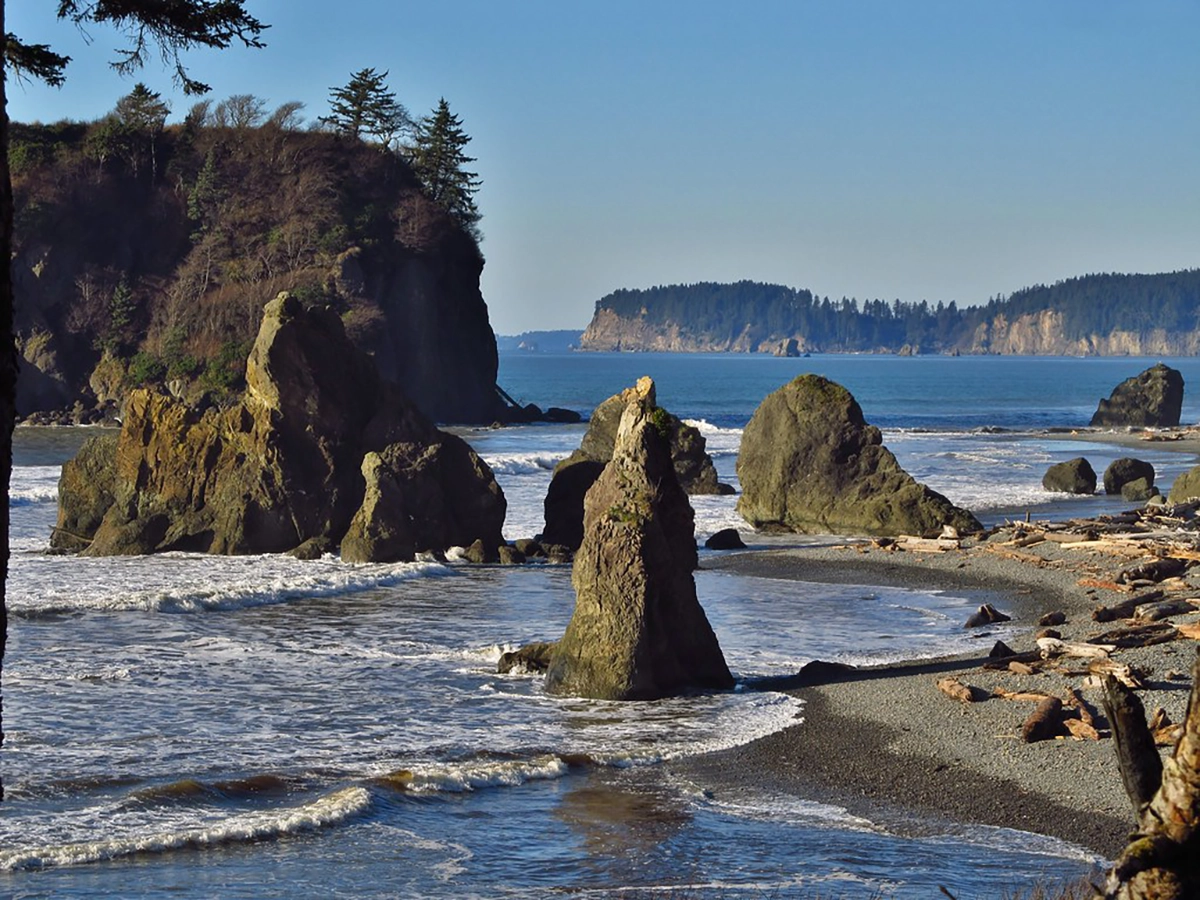 Olympic National Park 5.8.2025