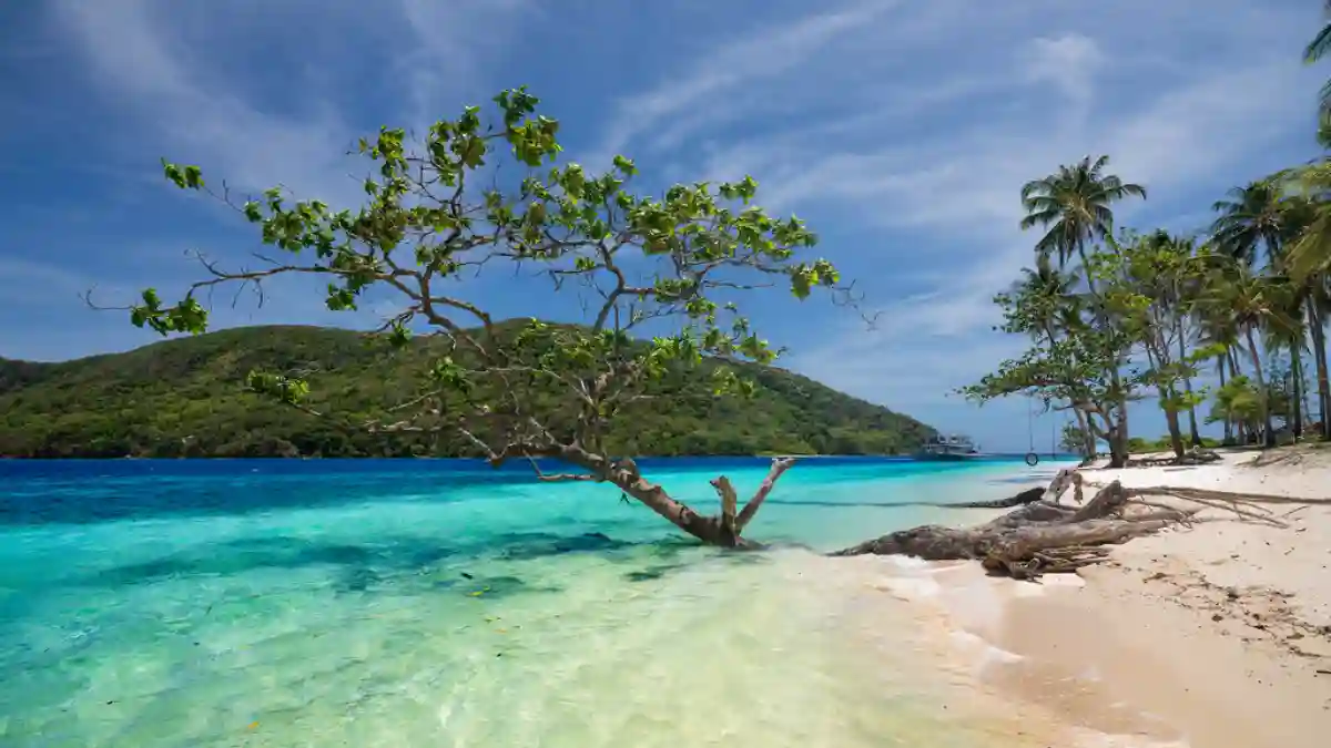 Stunning view of Palawan, Philippines – Crystal-clear waters and dramatic limestone cliffs, a tropical paradise in Southeast Asia. Stunning view of Palawan, Philippines – Crystal-clear waters and dramatic limestone cliffs, a tropical paradise in Southeast Asia.