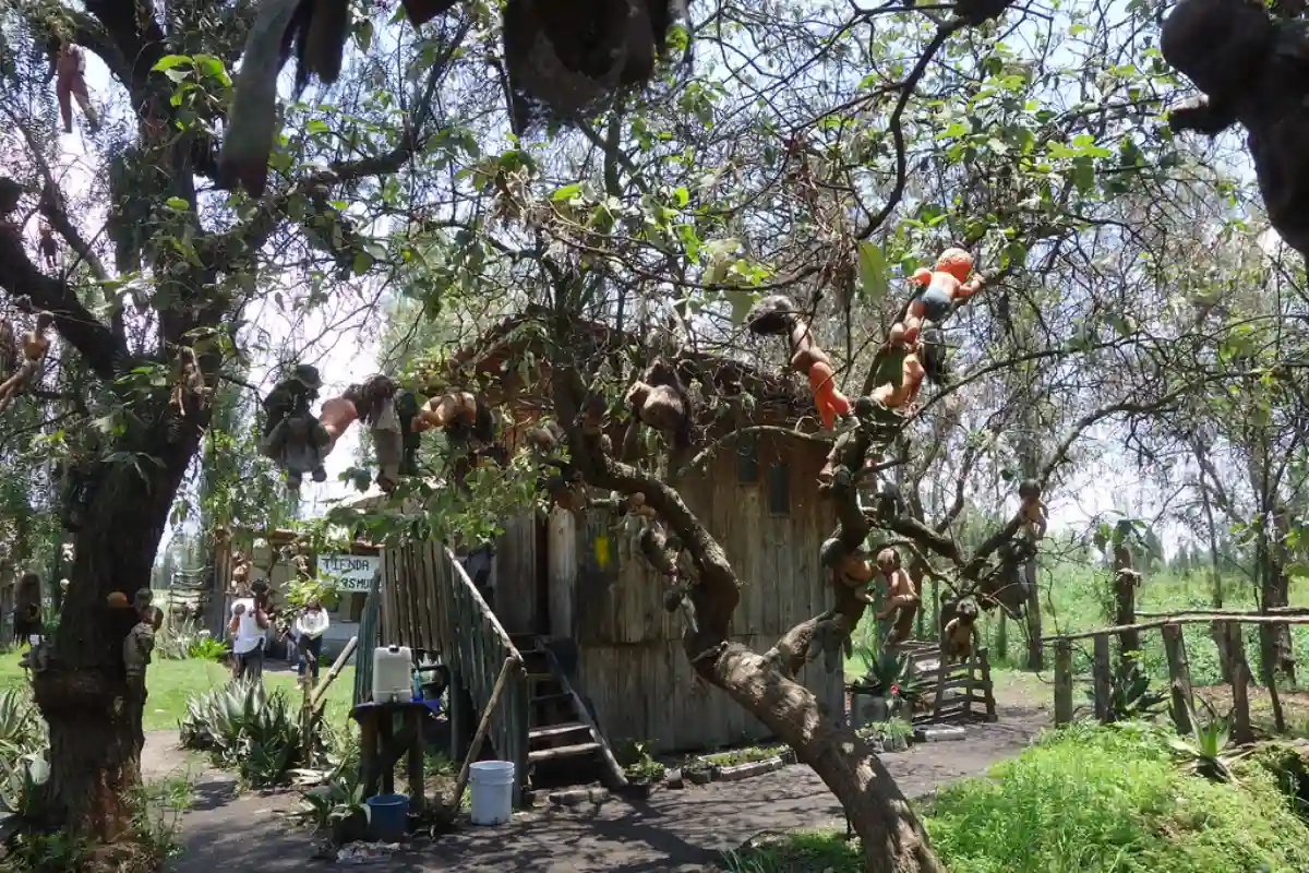 10 Cursed Tourist Spots That Locals Warn Against Visiting: The Island of the Dolls, Mexico 10 Cursed Tourist Spots That Locals Warn Against Visiting: The Island of the Dolls, Mexico