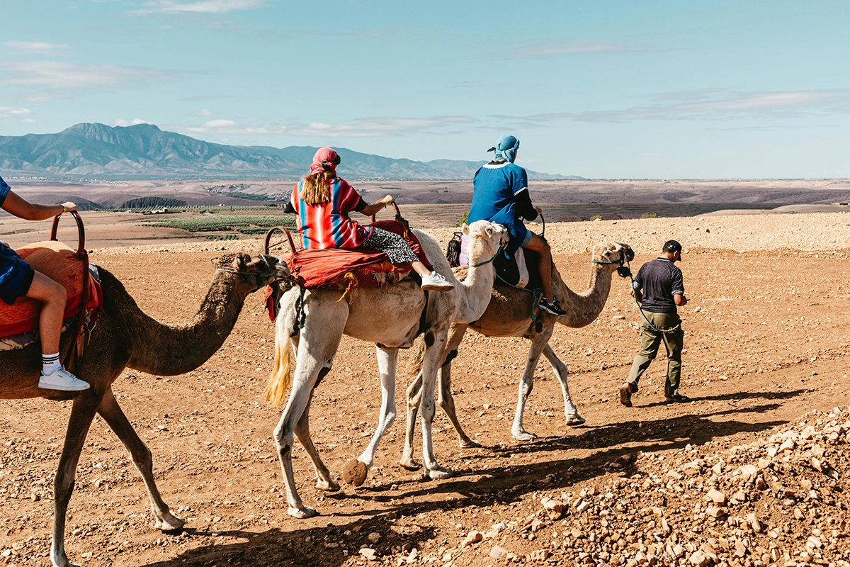 Travel By Camel Caravan 11.8.2025
