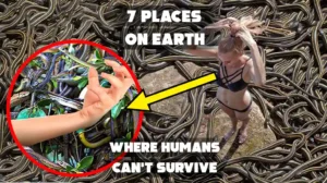 The image is a thumbnail for a video or article titled "7 PLACES ON EARTH WHERE HUMANS CAN'T SURVIVE". The image prominently features a person surrounded by numerous garter snakes, which is a common visual for content about "Snake Island".