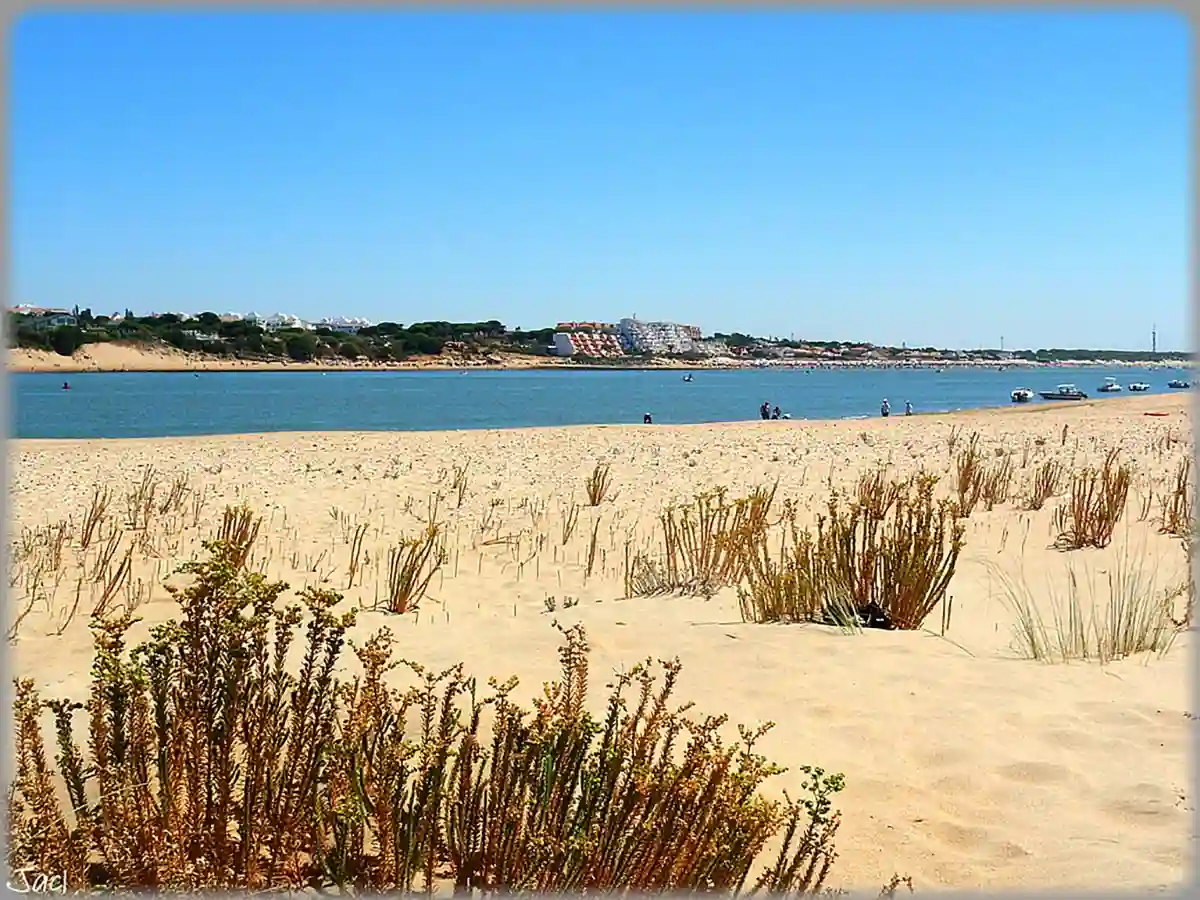 Flecha del Rompido is a natural sand formation with pristine beaches and calm waters, ideal for nature lovers seeking a peaceful seaside escape. Flecha del Rompido is a natural sand formation with pristine beaches and calm waters, ideal for nature lovers seeking a peaceful seaside escape.