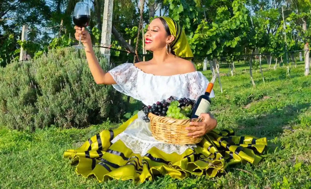 image related to ' traditional Brazilian clothing for women' article image related to ' traditional Brazilian clothing for women' article