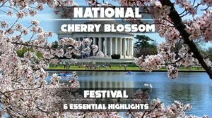 The image displays information about the National Cherry Blossom Festival, which is an annual event in Washington, D.C., celebrating the blooming of cherry trees and the friendship between the United States and Japan.